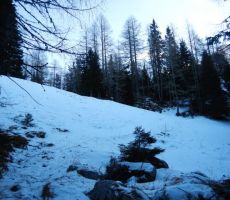 ČISTI VRH 1875m, 13.01.2019 - PS PT Nova Gorica